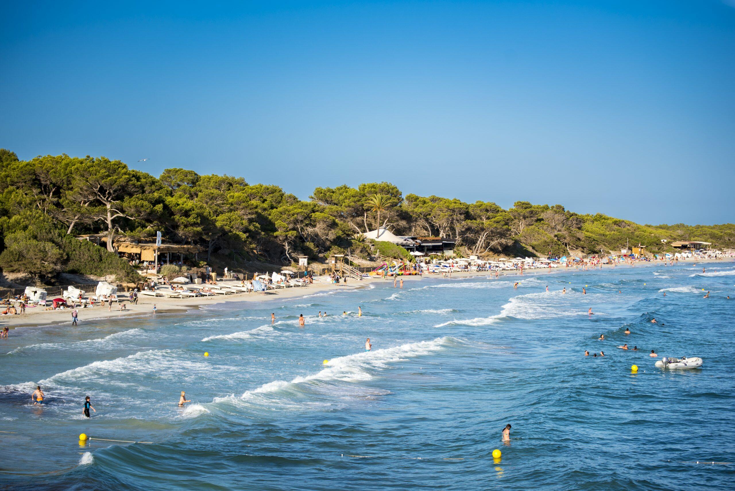 Het strand van Ses Salines, Ibiza, met zwemmers in turquoise golven en ligbedden langs een zandstrand met pijnbomen op de achtergrond.