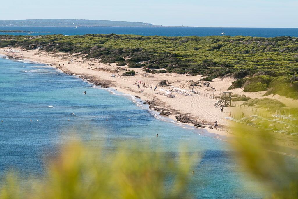 Las Salinas (Ses Salines) - buy a property in Sant Josep
