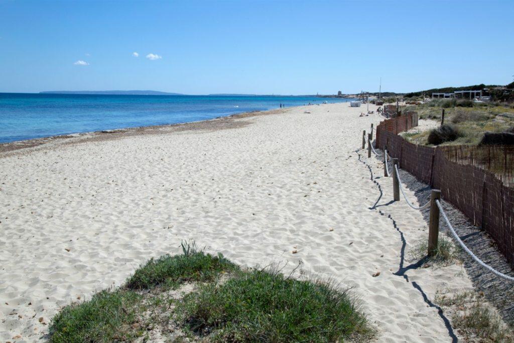 Wonen in Ibiza: Es Cavallet strand in Las Salinas gebied