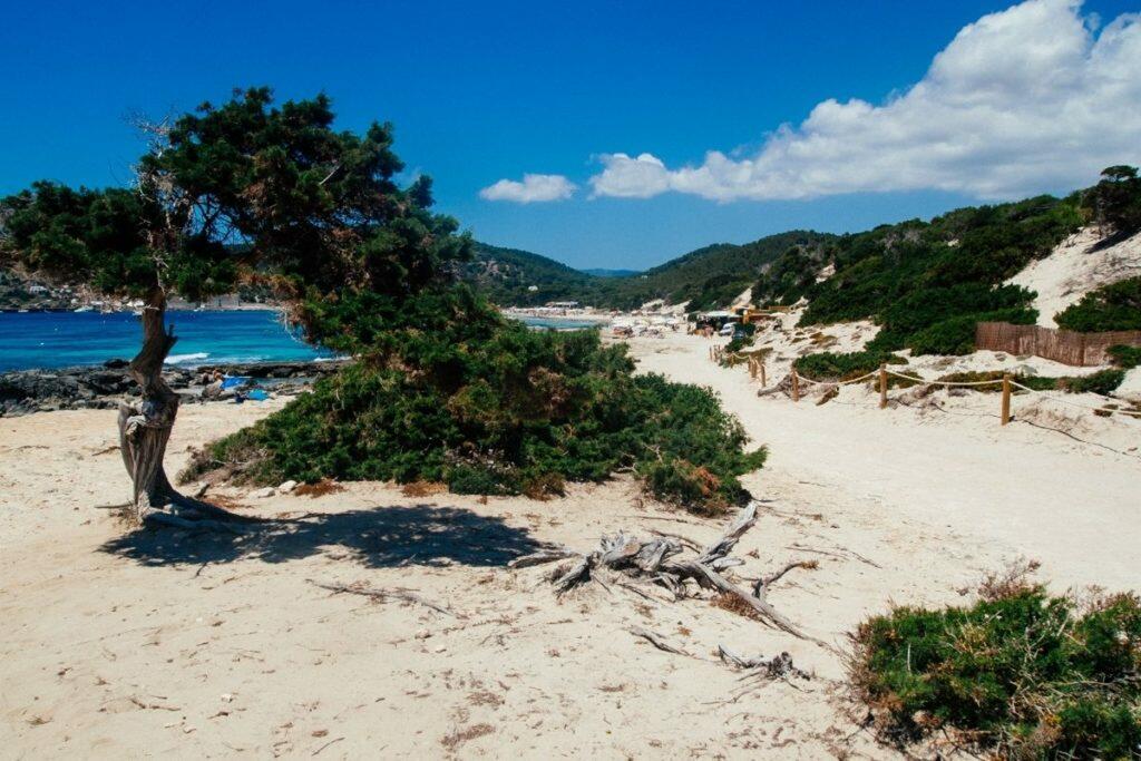 Las Salinas strand Ibiza