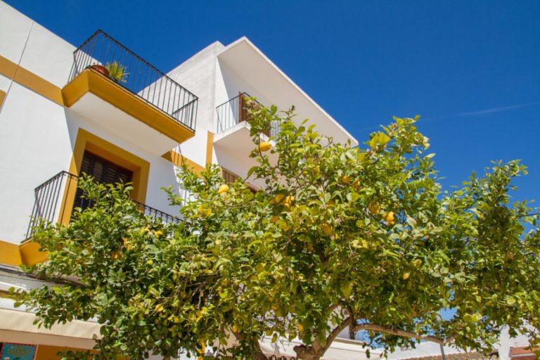 Wonen op Ibiza: Leven in Santa Gertrudis