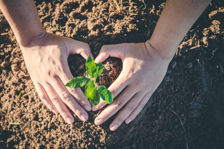 Hoe u de CO2-uitstoot kunt verminderen en uw CO2-voetafdruk kunt berekenen