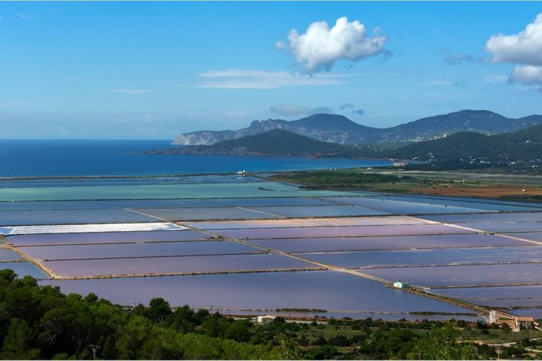 Leven in Ibiza: Leven in Las Salinas