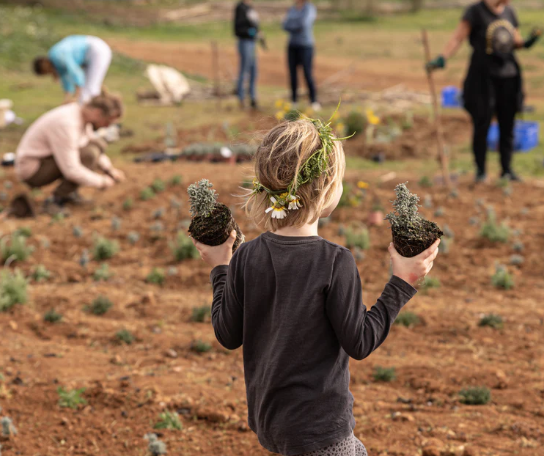 Juntos boerderij Ibiza